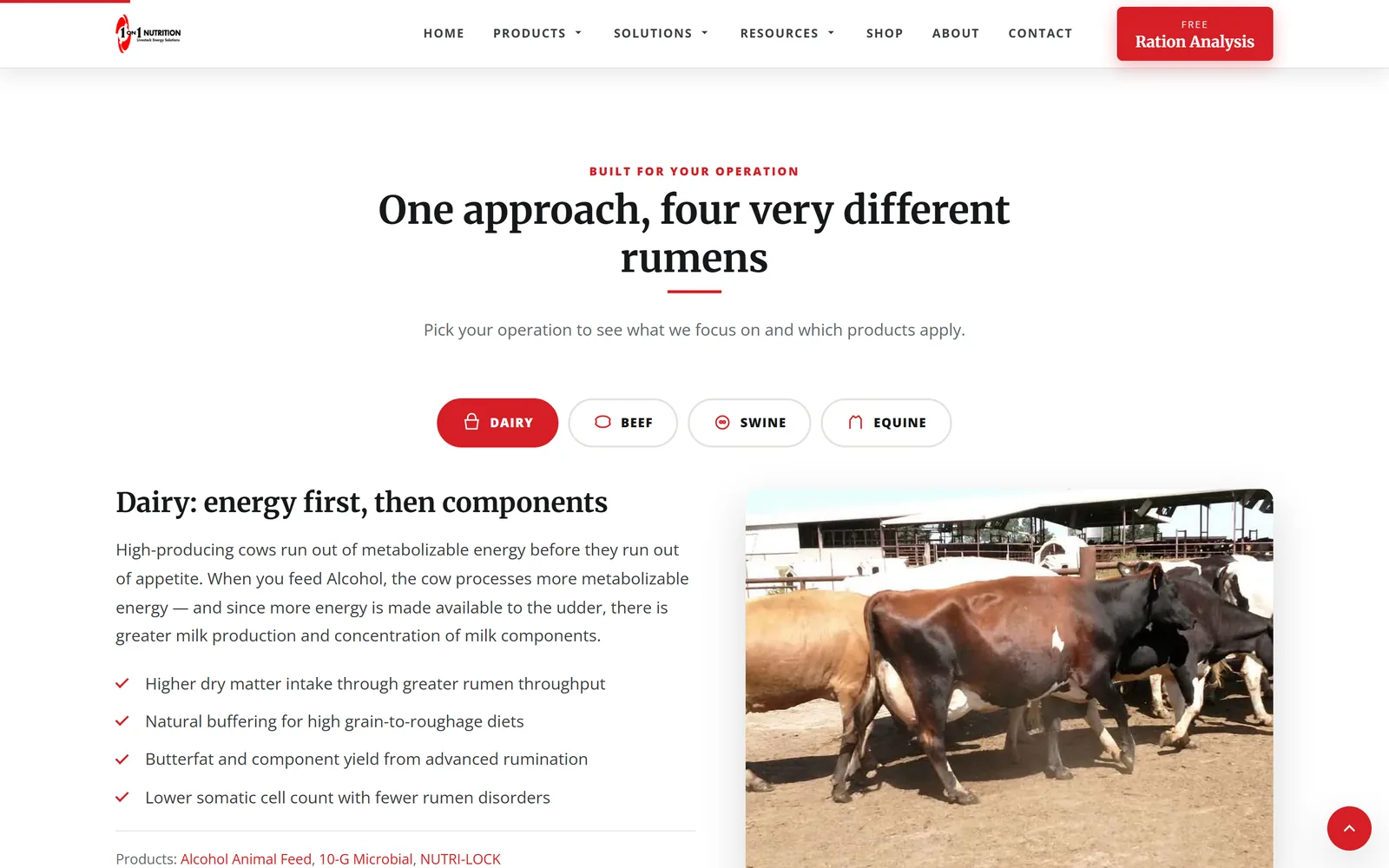 1 on 1 Nutrition: a section further down the home page